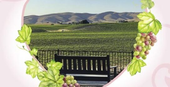 Pleasant Valley Wine Trail announces Vino Valentine Weekend dates