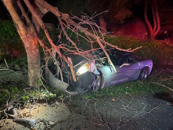 Speeding driver crashes at roundabout