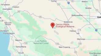 Prescribed burn scheduled at Carrizo Plains this week