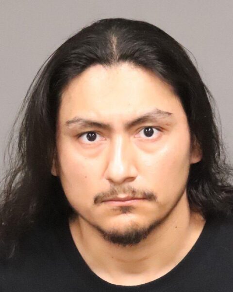 Man arrested in South County for human trafficking, firearm possession