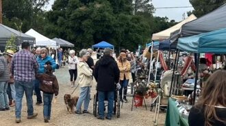 Templeton Library welcomes shoppers to monthly flea market event