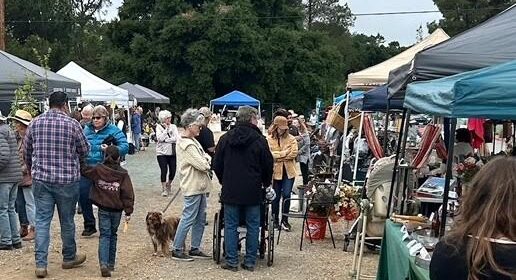 Templeton Library welcomes shoppers to monthly flea market event