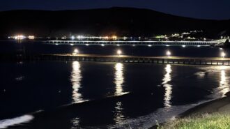 Firefighters rescue two people, dog from high tide in Avila Beach