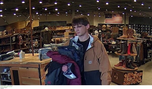 Police seek help identifying theft suspect