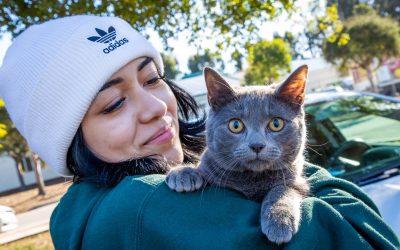 Pet owners invited to wellness clinic in Paso Robles