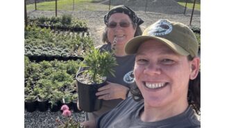 DW Farms opens greenhouses for retail sales in San Miguel