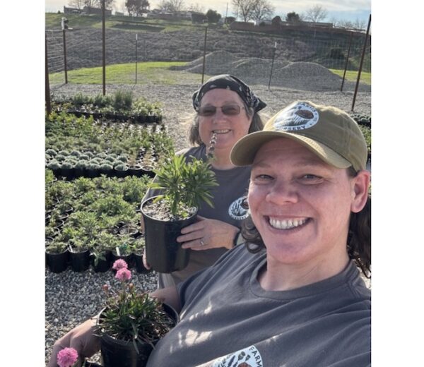 DW Farms opens greenhouses for retail sales in San Miguel