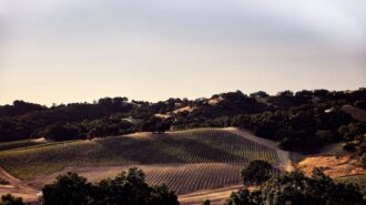 halter ranch organic