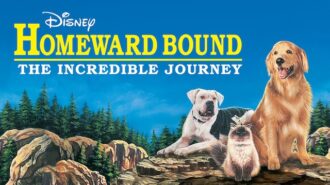 Guests and their dogs will enjoy a screening of Homeward Bound: The Incredible Journey