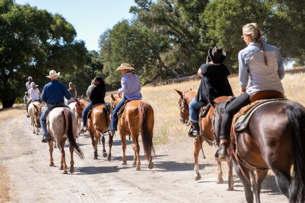 Dream Big Darling retreat returns to Central Coast in June