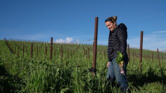 Booker Vineyard celebrates Earth Day with educational vineyard walks