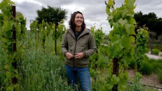 Booker Vineyard names Molly Lonborg senior winemaker
