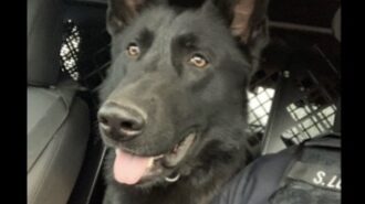 Community invited to meet police dog Griff at upcoming event
