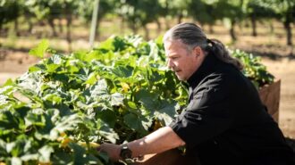 Fundraiser launched for Paso Robles chef after house fire