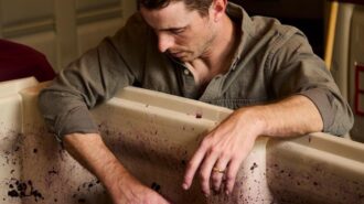 Brecon Estate wins top honors at international wine competition