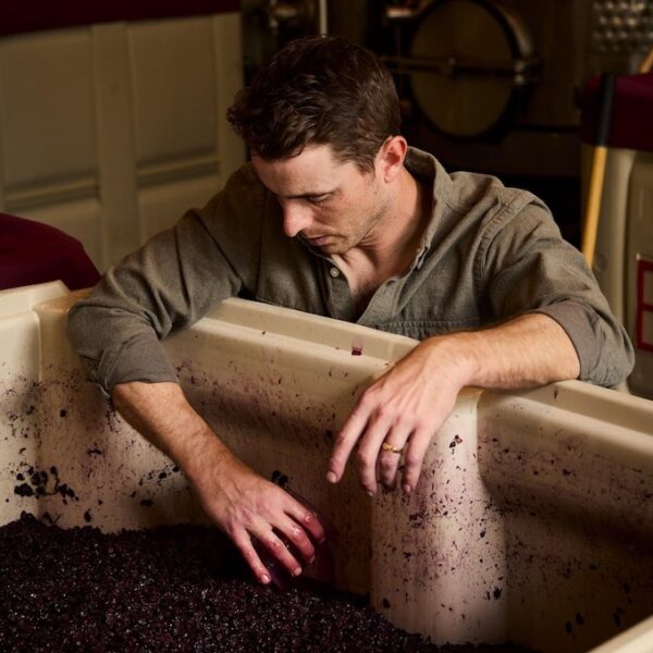 Alex Kemp, winemaker at Brecon