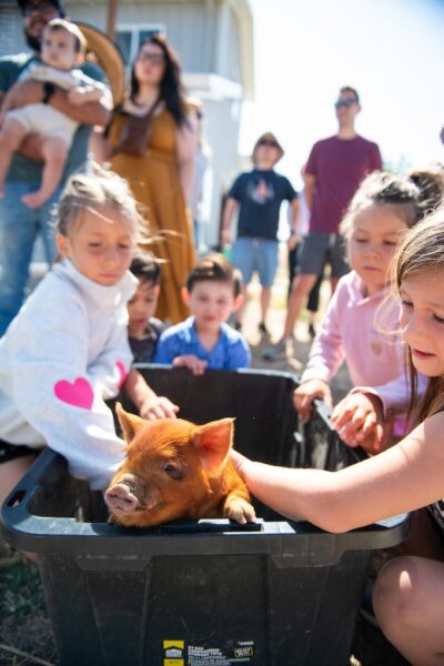 Visitors tour San Luis Obispo County farms during Open Farm Days