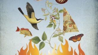 Studios on the Park to present exhibition exploring four elements