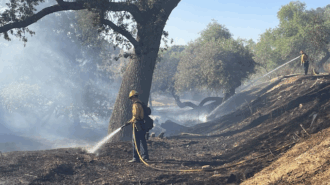 Crews contain Salinas Riverbed vegetation fire