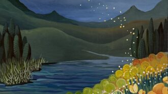 Studios on the Park launches 'Whimsical Wonders' silent auction
