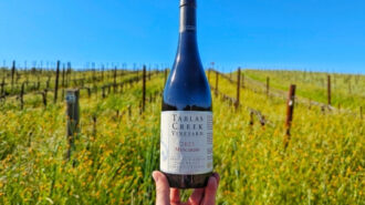 Tablas Creek first in the US to bottles all Châteauneuf-du-Pape grapes individually