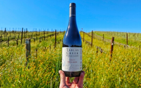 Tablas Creek first in the US to bottles all Châteauneuf-du-Pape grapes individually