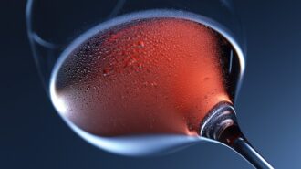 'Rosé Roundup' coming to Loading Chute Barn in Creston