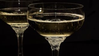 sparkling wine