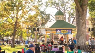 concerts in the park