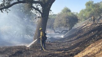 Crews contain fire in Salinas Riverbed Friday