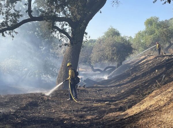 Crews contain fire in Salinas Riverbed Friday
