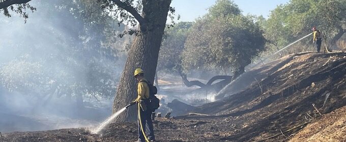 Crews contain fire in Salinas Riverbed Friday