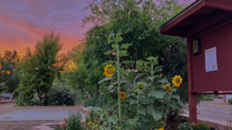 UC Master Gardeners to host free event at Centennial Park