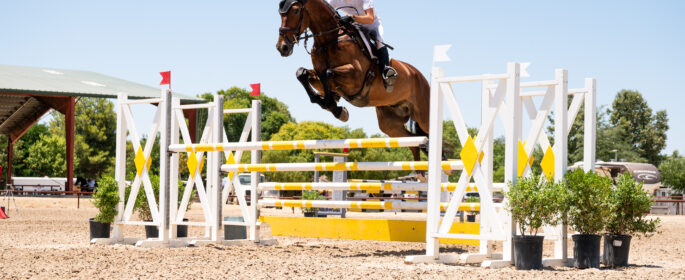 James Alliston and HMR Rolan. Atalya Boytner Photography