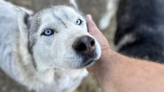 From the Heart fundraiser returns to Paso Robles Sept. 27