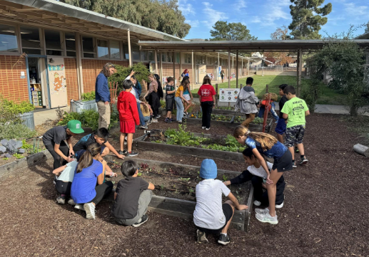Local nonprofit asks for help to fund school gardens