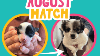 Woods Humane Society launches August Match Challenge for donations