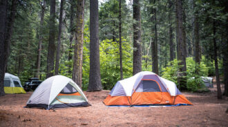 California State Parks improves website for campground booking
