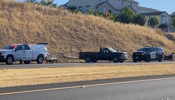 Update: More details released on Highway 46 fatal collision