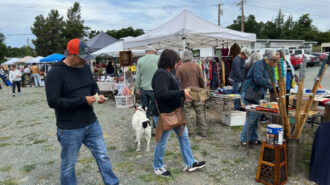 Templeton Library's Flea and Maker’s Market returns Sept. 6
