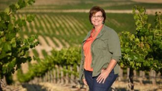 Director of Vineyards Stasi Seay