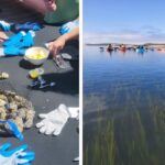 Kayak tour company bring oyster tasting to Morro Bay estuary