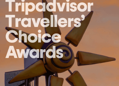 award based on 12 months of visitor reviews