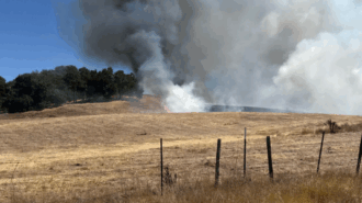 Vegetation fire burns 40 acres in Atascadero