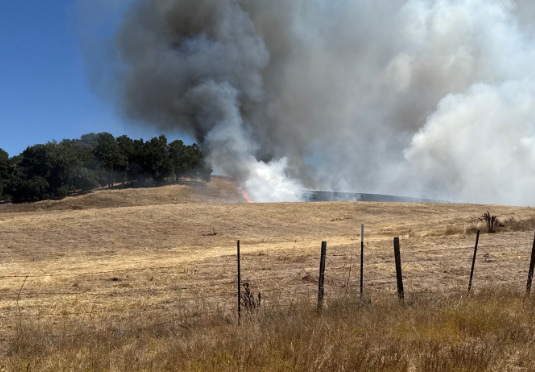 Vegetation fire burns 40 acres in Atascadero