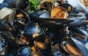 Mussel