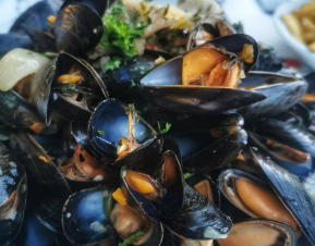 Mussel stock photo