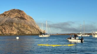 Rubber ducks race returns to Morro Bay
