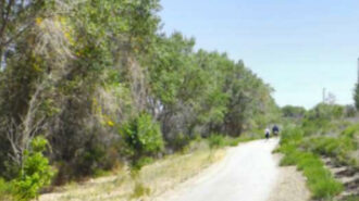 ECOSLO seeks volunteers for annual Creeks to Coast Cleanup