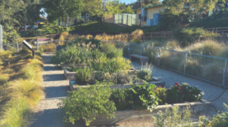 Free garden workshop offers lessons on planting bulbs and rhizomes